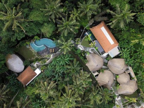 اكتشف سحر بالي…